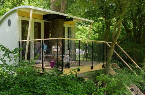 Boomhut Buytenplaets Suydersee Boomhut Buytenplaets Suydersee